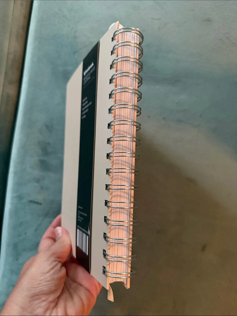 Gratitude Journal Spiral Notebook